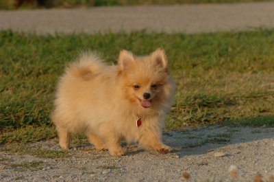 Aug24_06_041.JPG