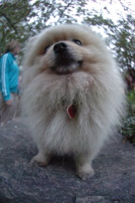 Aug26_06_325.JPG