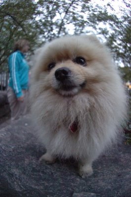 Aug26_06_327.JPG