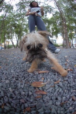 Aug26_06_328.JPG
