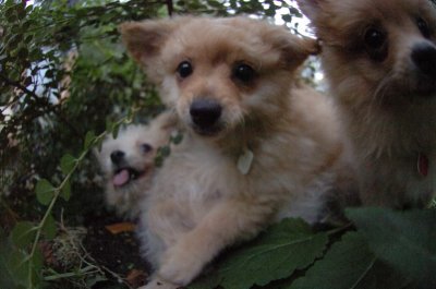 Aug26_06_329.JPG