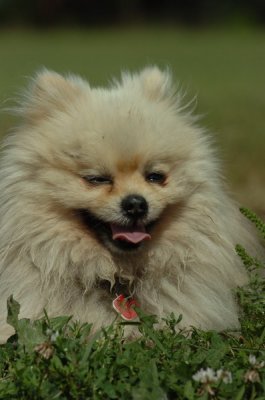 Aug28_06_209.JPG