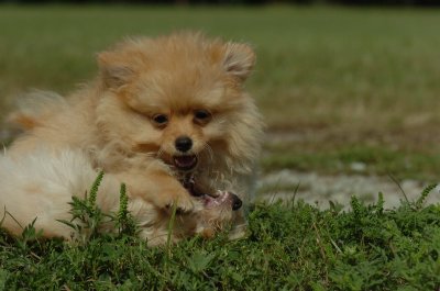 Aug28_06_239.JPG