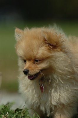 Aug28_06_258.JPG