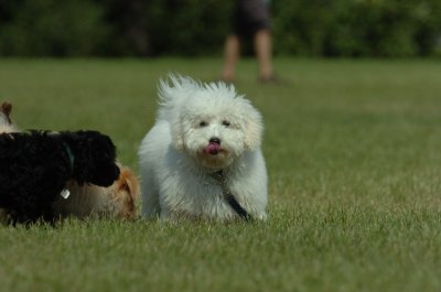 Aug28_06_261.JPG