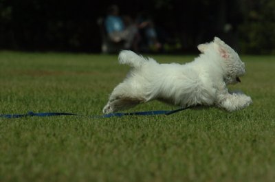 Aug28_06_263.JPG