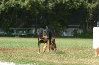 Aug28_06_280.JPG