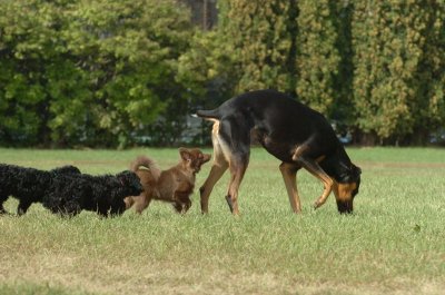 Aug28_06_281.JPG