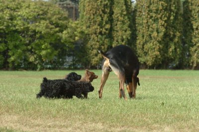 Aug28_06_282.JPG