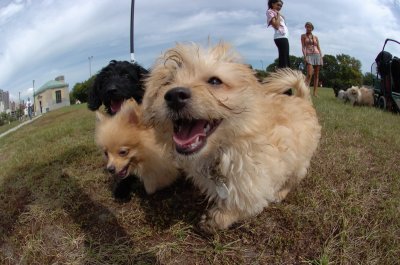 Aug28_06_097.JPG