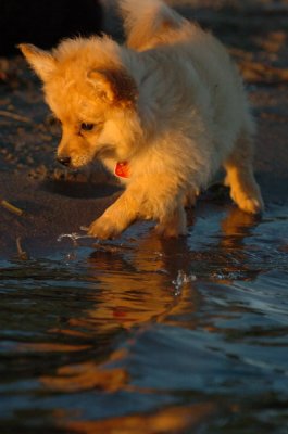 Aug30_06_223.JPG