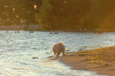 Aug30_06_231.JPG