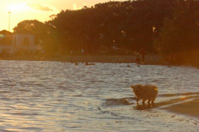 Aug30_06_240.JPG