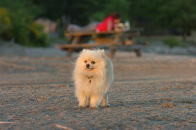 Aug30_06_242.JPG