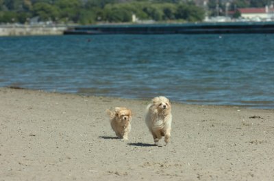 Aug31_06_433.JPG
