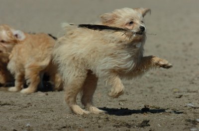 Aug31_06_019.JPG