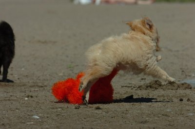 Aug31_06_028.JPG
