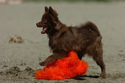 Aug31_06_030.JPG