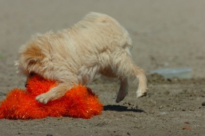Aug31_06_031.JPG