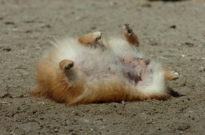 Aug31_06_036.JPG