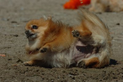 Aug31_06_037.JPG
