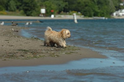 Aug31_06_046.JPG