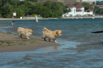 Aug31_06_047.JPG
