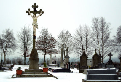 C6910.jpg