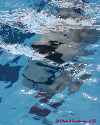 Synchronized Swimming 07548 copy.jpg