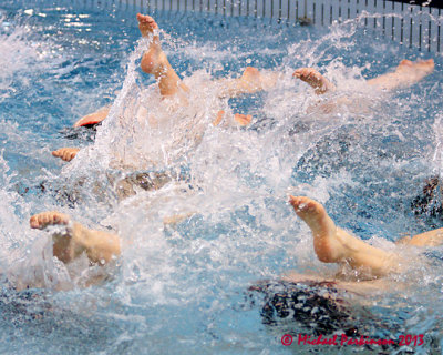 Synchronized Swimming 08198 copy.jpg