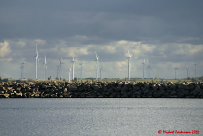 Wind Turbines 02467 copy.jpg