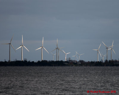 Wind Turbines 06292 copy.jpg