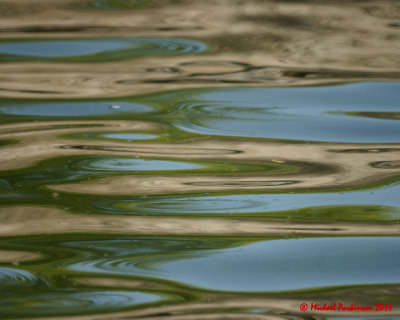 Abstracts 04939 copy.jpg