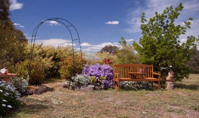 Garden chair 1.jpg