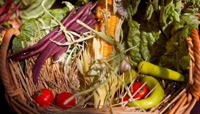 Harvest basket 1.jpg