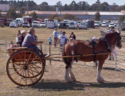 Old and new transport.jpg