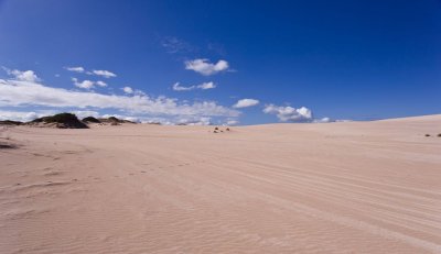 Dunes 3.jpg