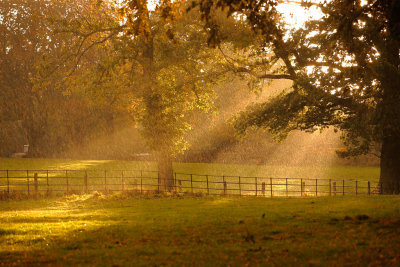 20121017 - Sunshine through Hail and Trees