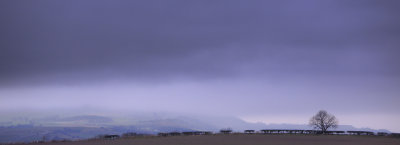 20130104 - More Gloom