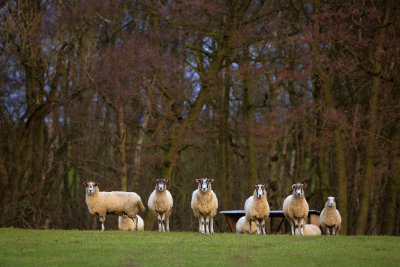 20130107 - The Watchers