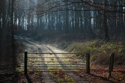 20130113 - A Taste of Winter