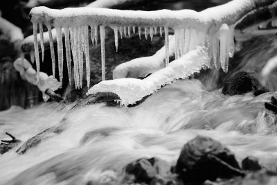 20130119 - Chilly