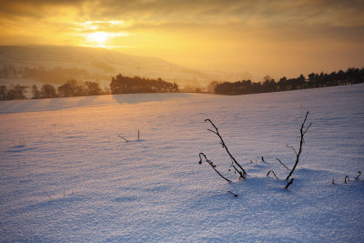 20130122 - Sunshine!
