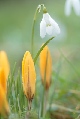 20130320 - Yellow