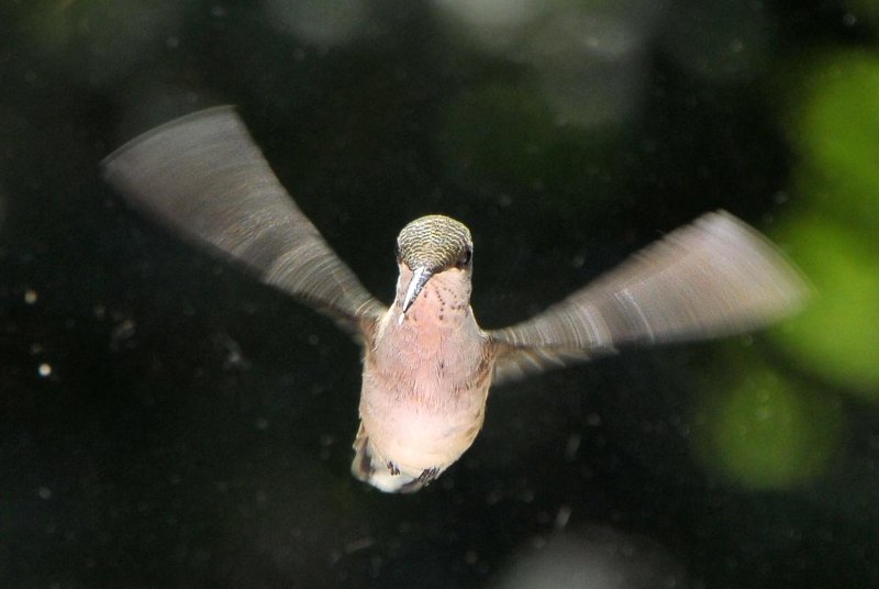 DSC_6955