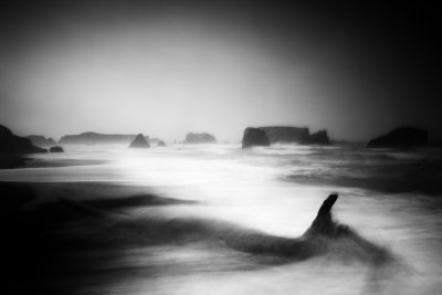 Sea Stacks and Driftwood