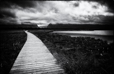 Pathway