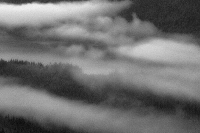 Morning Fog
