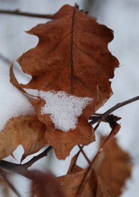 After The Snow