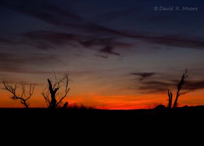 Dawn